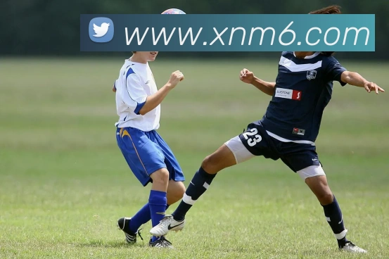 米乐m6APP 体育赛事宣传图